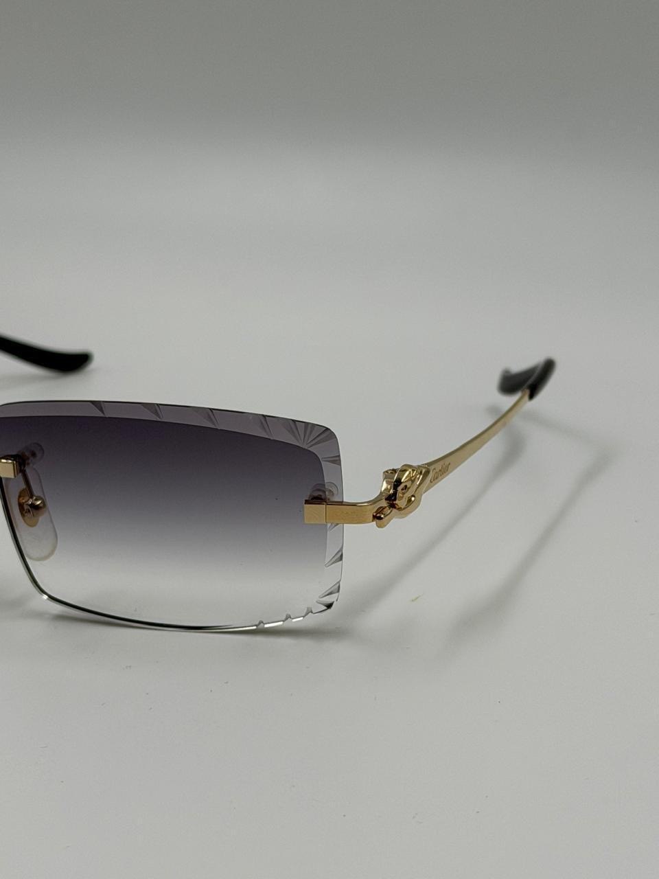 Close-up of a metal eyewear temple