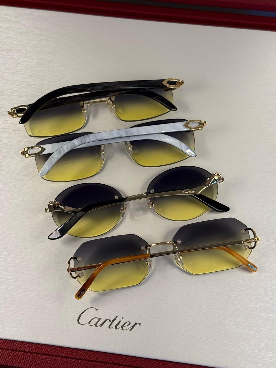 Assorted sunglasses in a presentation display