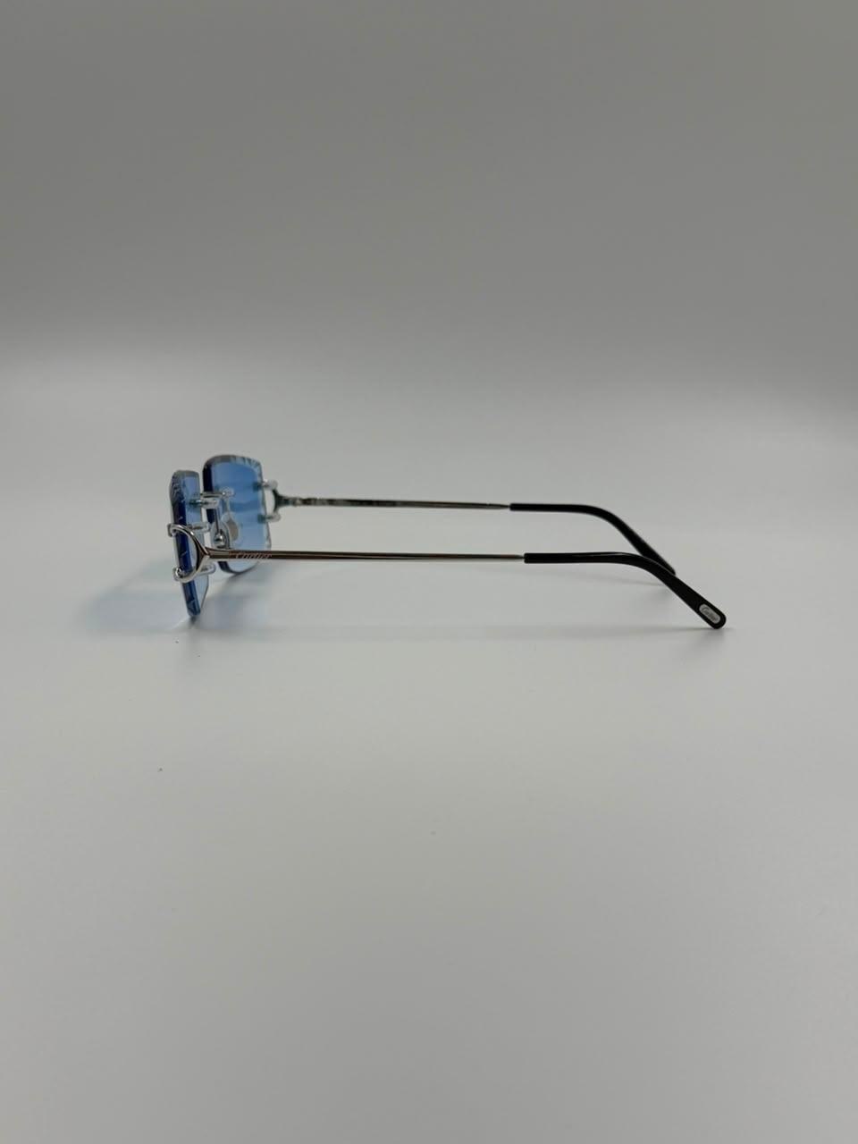 Blue-accented eyewear in profile
